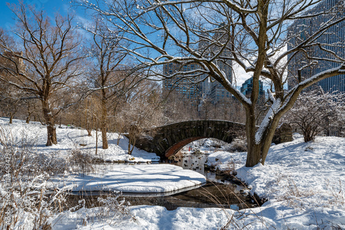 View of Gapstow bridge during winter, Central Park New York City . USA