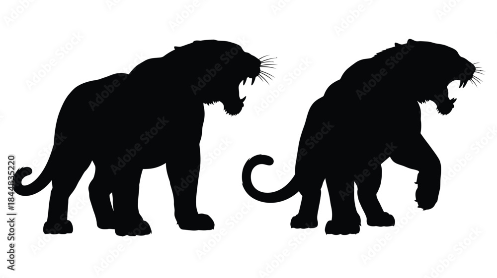 Obraz premium Two majestic tigers in a dynamic pose a striking black silhouette