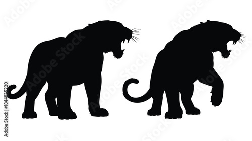 Two majestic tigers in a dynamic pose a striking black silhouette