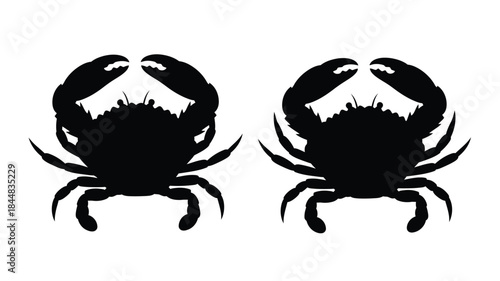 Two crabs facing each other a striking black and white silhouette