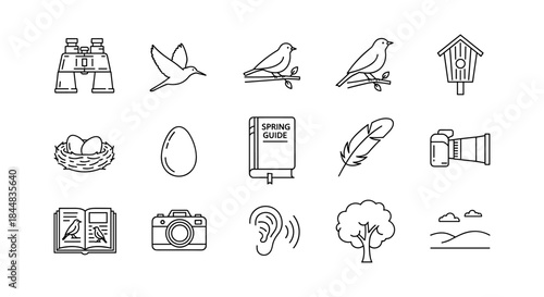 Birdwatching essentials: icons of birds, equipment, and nature in linear style