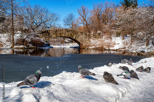 View of Gapstow bridge during winter, Central Park New York City . USA