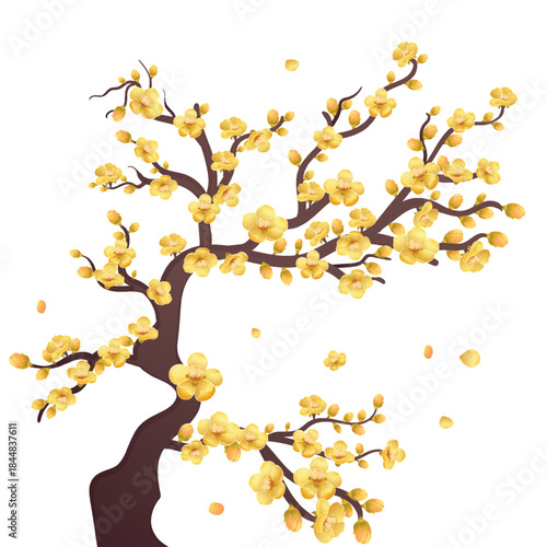 Apricot blossom tree with yellow flowers