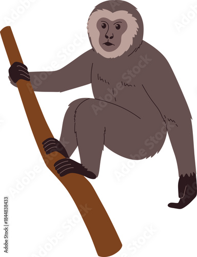 White Faced Gibbon Monkey On Branch Illustration