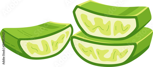 Fresh Aloe Vera Slices Illustration