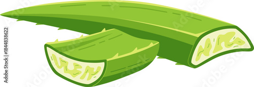 Fresh Aloe Vera Slices Illustration