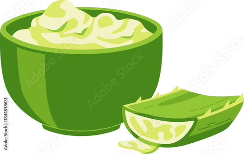 Fresh Aloe Vera Gel in Green Bowl Illustration