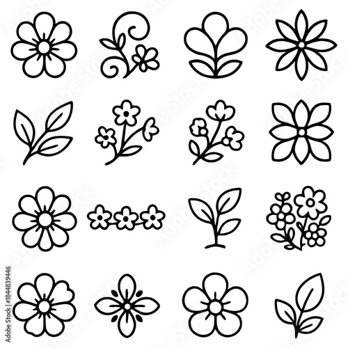 Floral Flourish: A delicate collection of floral line drawings and botanical motifs, exuding elegance and artistic charm. This artistic display offers a touch of refined beauty.