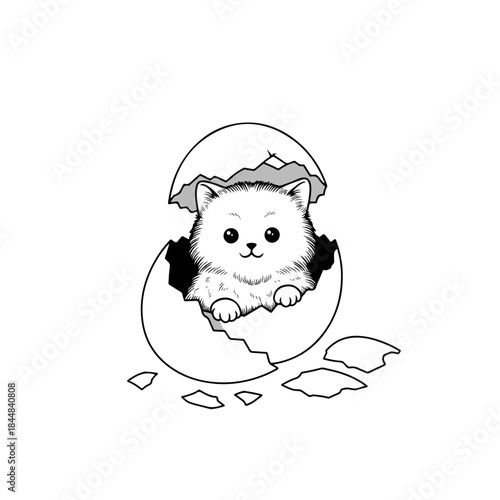 Cute Fluffy Hatchling