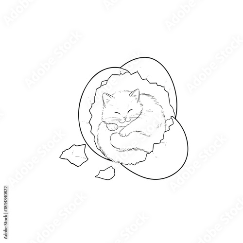 Kitten hatching from egg