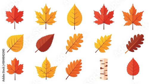 Colorful autumn leaves arrangement with various shapes and hues a silhouette