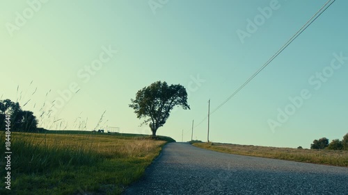 rural road in the morning