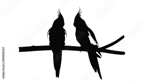 Two birds perched on a branch a striking black silhouette
