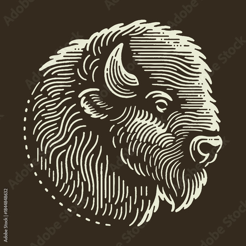 Detailed Bison Head Illustration on Dark Background.