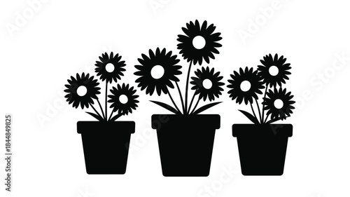 Potted flowers displayed in a minimalist black and white style silhouette