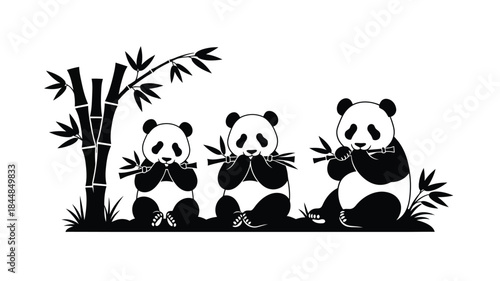 Three pandas enjoying bamboo in a striking black and white silhouette