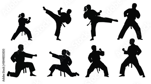 Dynamic silhouettes of martial artists practicing various karate kicks and poses in a group