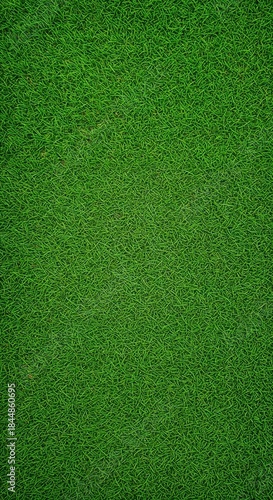 A perfectly manicured green grass lawn provides a vibrant, lush, and uniform natural texture viewed from directly above, offering a clean background.
