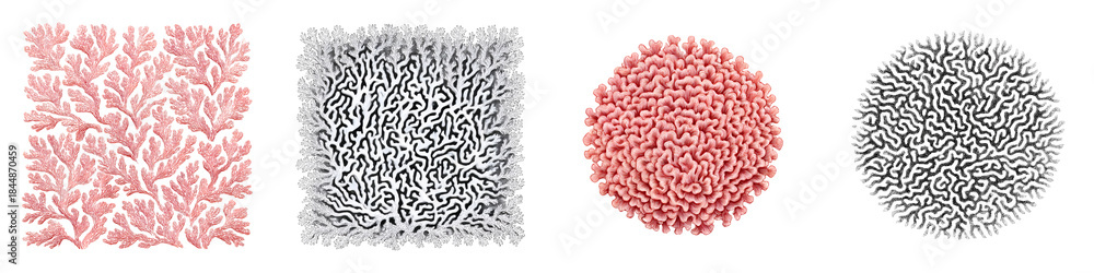 Fototapeta premium Abstract Coral Textures: Pink and Grey and Circle Patterns
