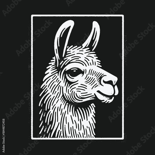 Vintage hand drawn llama head illustration in linocut style.