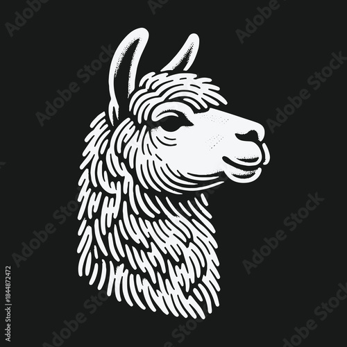 White llama head portrait in a stylized linocut illustration.