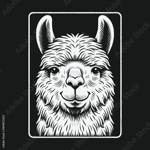Monochrome Engraved Style Llama Head Vector Illustration.