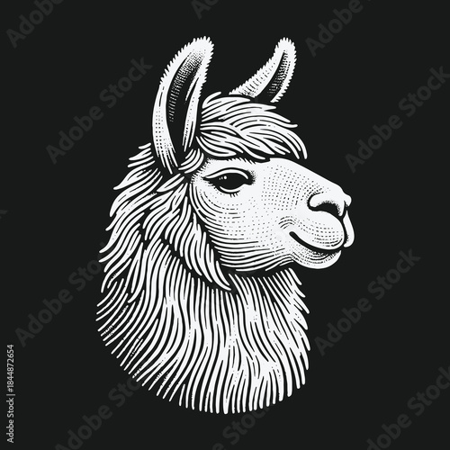Vintage Llama Head Engraving Style Illustration on Black Background.