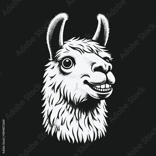 Funny smiling llama head cartoon character illustration on black background.