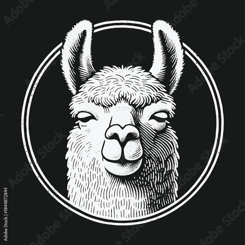 Black and white engraved style llama head portrait.