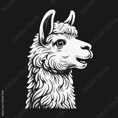 Classic Engraved Llama Head Portrait in Monochrome Style.