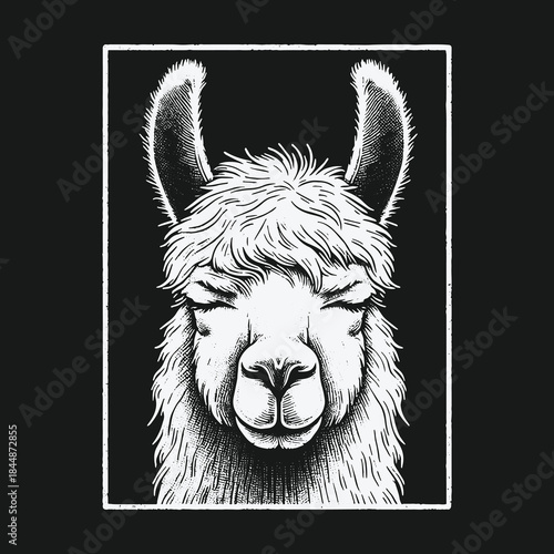 Calm llama portrait illustration with closed eyes on black background.