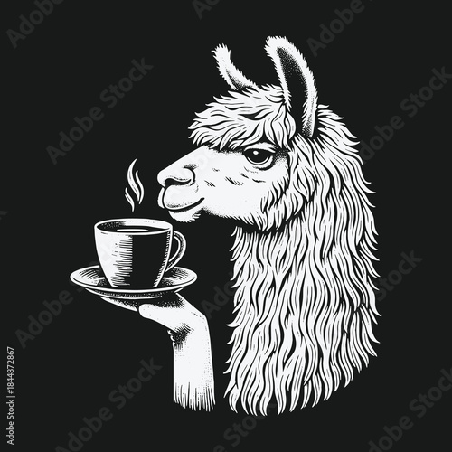 Funny llama head being served a hot cup of coffee.