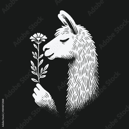 Black and white linocut illustration of a gentle llama smelling a flower.