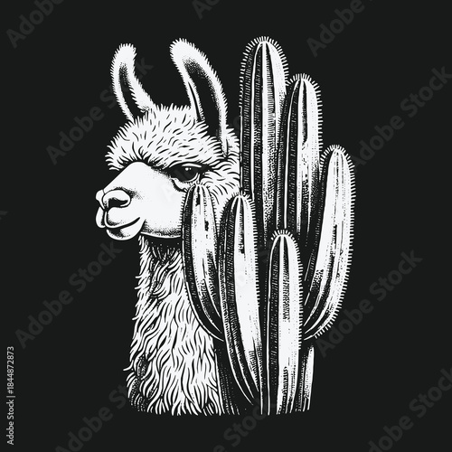 Hand drawn llama peeking from behind a saguaro cactus.