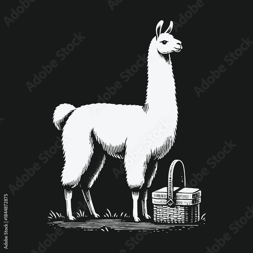 Vintage black and white illustration of a llama with a picnic basket.