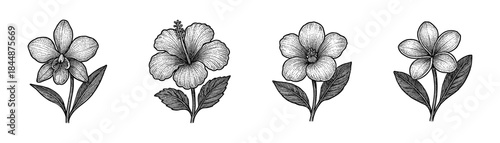 Exotic tropical flowers vintage engraving icons set