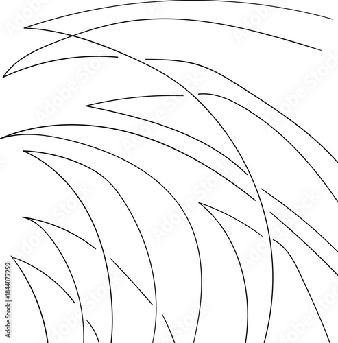 Adobe Illustrator Artwork with sharp plants or line art