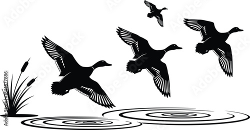Flying ducks silhouette, water ripples, nature scene, black and white illustration, wetland habitat, bird motion, cattails, wildlife art, peaceful outdoors