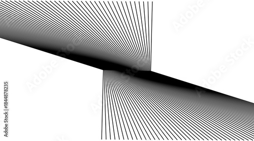 White black color. Linear background. Design elements. Poligonal lines. Protective layer for banknotes, certificates template. Vector Vector lines of different thicknesses from thin to thick EPS 10
