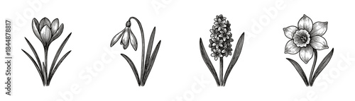 Spring garden flowers vintage engraving icons set