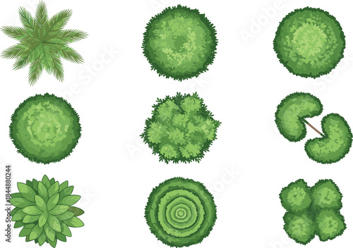 Top-down vector illustrations of diverse trees and shrubs for landscape design, garden planning, architectural layouts, and vegetation mapping projects.
