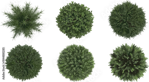 Top-down bush vector set with diverse foliage textures, leaf shapes, and plant structures for landscape, garden, botanical, and design use.