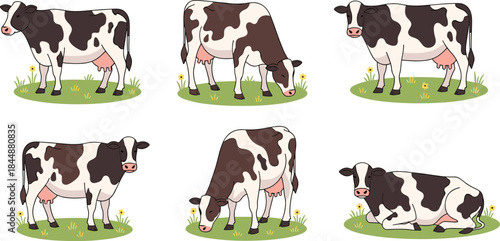 Grazing, Standing, and Lying on a Green Pasture.