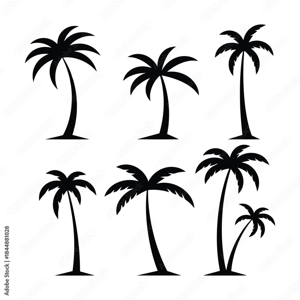 Fototapeta premium A collection of black palm tree silhouettes isolated on a white background