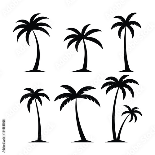 A collection of black palm tree silhouettes isolated on a white background