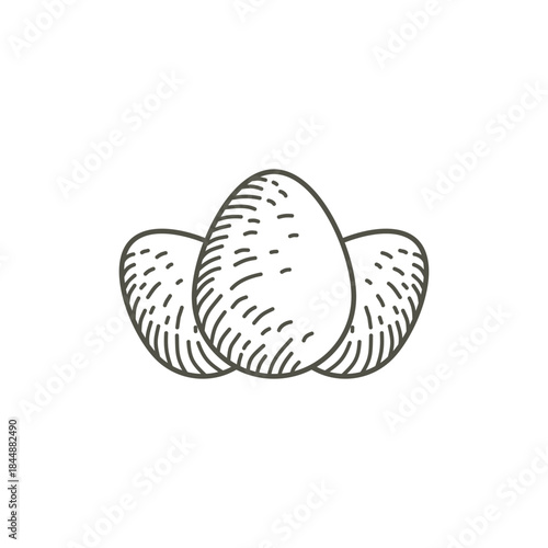 Line art illustration of three chicken eggs with textured shells, depicted in a simple, minimalist style.