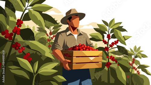 Farmer in a lush field harvesting berries with a wooden crate and basket under bright sun.