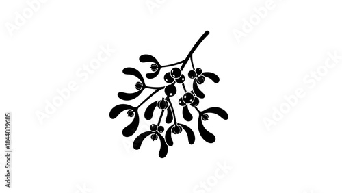 Black silhouette of a mistletoe branch with leaves and berries on white background