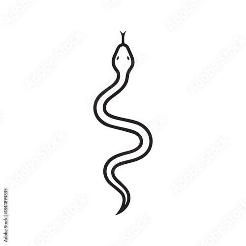 Simple black and white line drawing of a snake viewed from above. Minimalist vector illustration of a reptile serpent outline with forked tongue. Abstract tattoo sketch design isolated on white