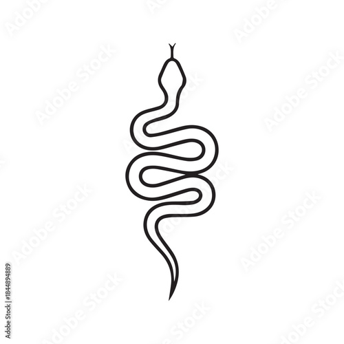 Simple black and white line drawing of a snake viewed from above. Minimalist vector illustration of a reptile serpent outline with forked tongue. Abstract tattoo sketch design isolated on white